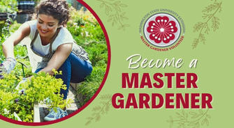 Gardener's Occupation Introduction: Aesthetic Practice of Greenery and Craftsmanship