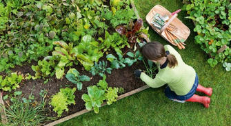 Horticulture in a New Era: Practical Training for Emerging Careers